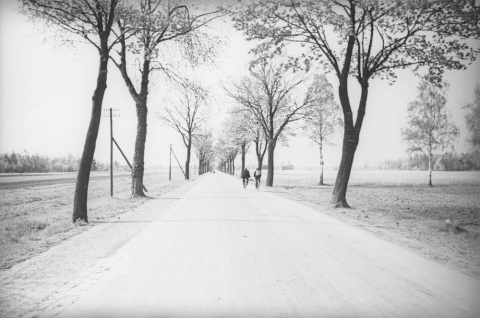 Pszczyna: Jedna z ulic. Widoczni rowerzyści 1937/fot. NAC