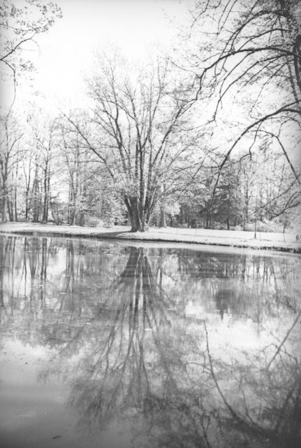 Pszczyna: Park Zamkowy 1937/fot. NAC