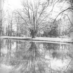 Pszczyna: Park Zamkowy 1937/fot. NAC