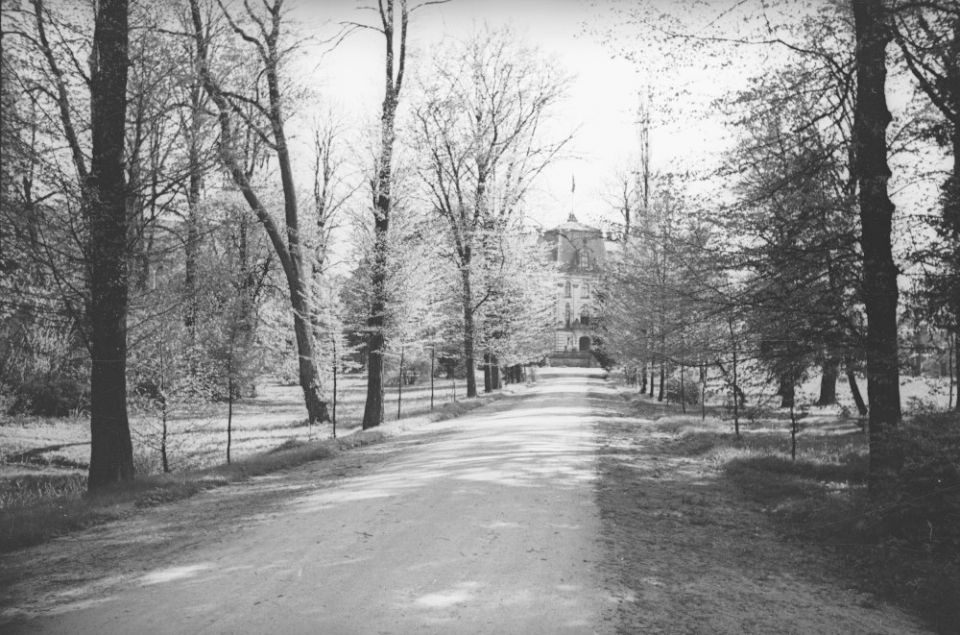 Pszczyna: Park Zamkowy 1937/fot. NAC