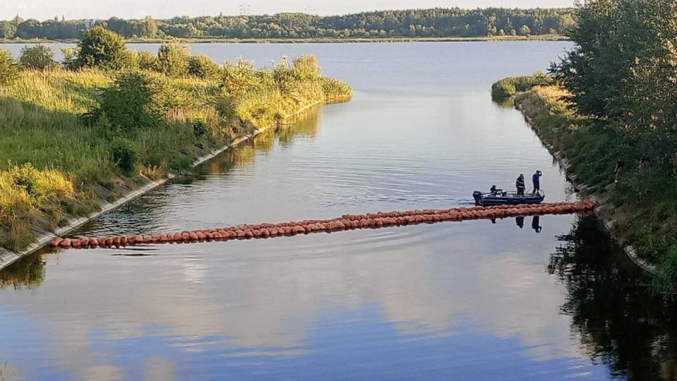 Eksperyment na rzece Kłodnica. To kolejna próba zwalczenia „złotej algi” - galeria