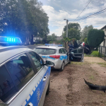 Mikołów: Policyjny pościg zakończony dramatem! 23-latek wjechał samochodem w ogrodzenie - galeria