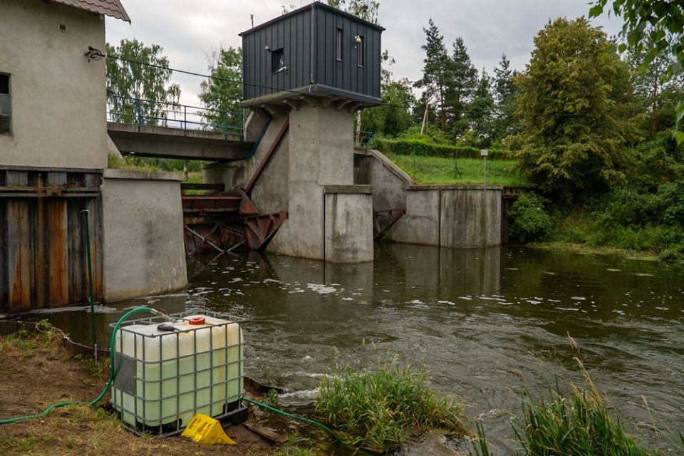 Wojewoda Śląski z wizytą w Pławniowicach. Trwają działania prewencyjne przeciw złotej aldze - galeria