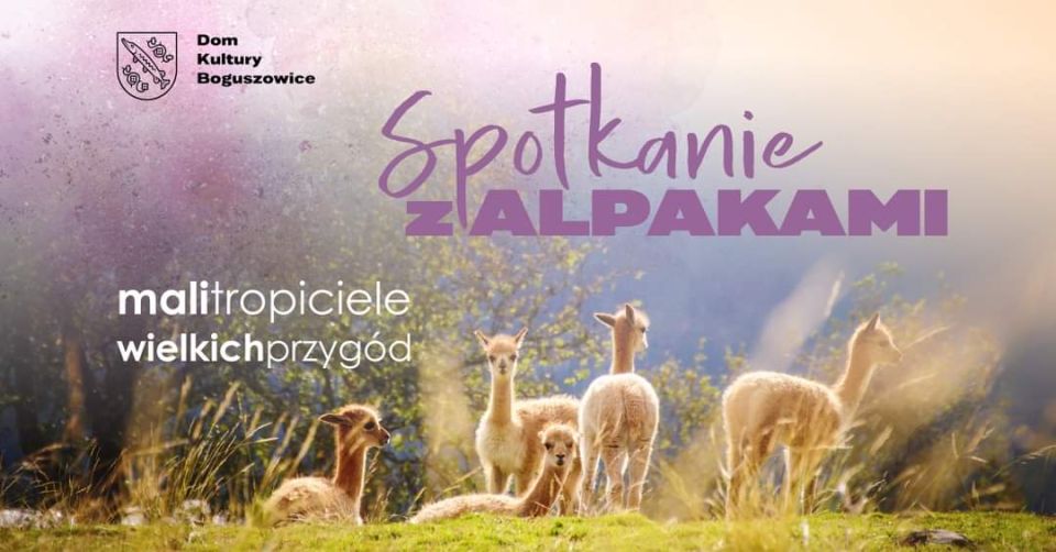 Mali Tropiciele Wielkich Przygód. Spotkanie z Alpakami - galeria