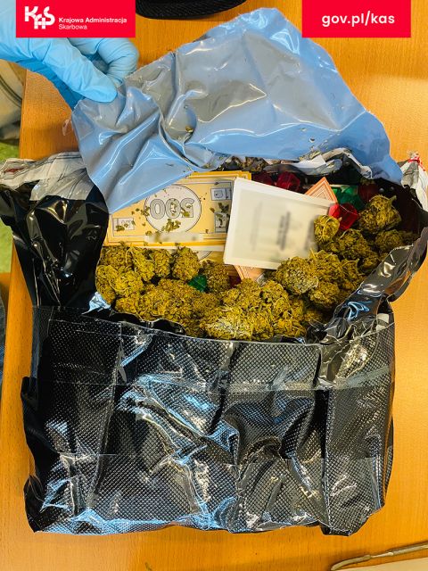 Grasz w zielone? Marihuana w popularnej grze planszowej - galeria