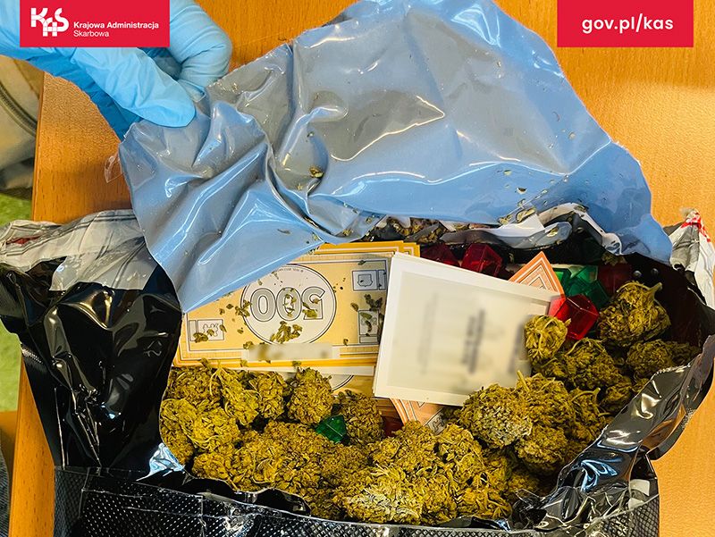 Grasz w zielone? Marihuana w popularnej grze planszowej - galeria