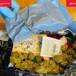 Grasz w zielone? Marihuana w popularnej grze planszowej - galeria