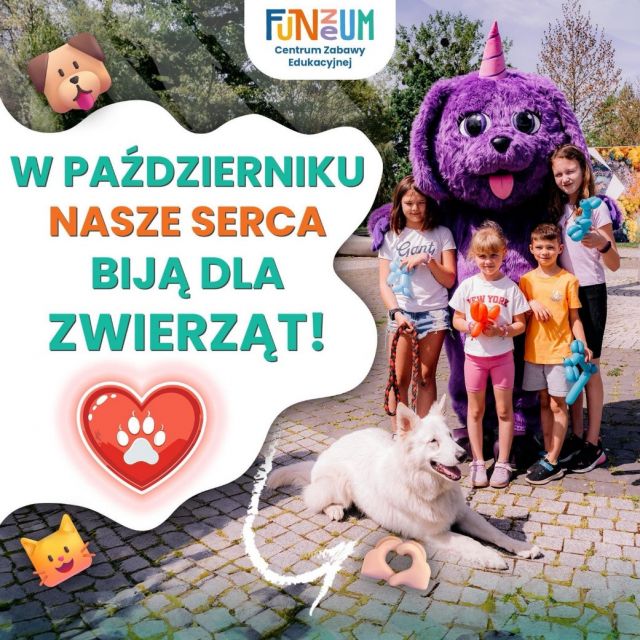 Centrum Zabawy Edukacyjnej Funzeum pomaga zwierzętom ze schroniska – uczymy zabawą i kształtujemy dobre wzorce dla dzieci! - galeria