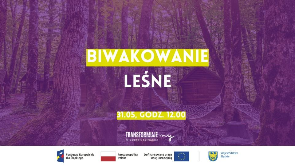 Biwakowanie leśne - galeria