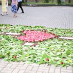 Świętochłowice: Tradycyjna procesja Bożego Ciała przeszła ulicami Lipin [ZDJĘCIA] - galeria