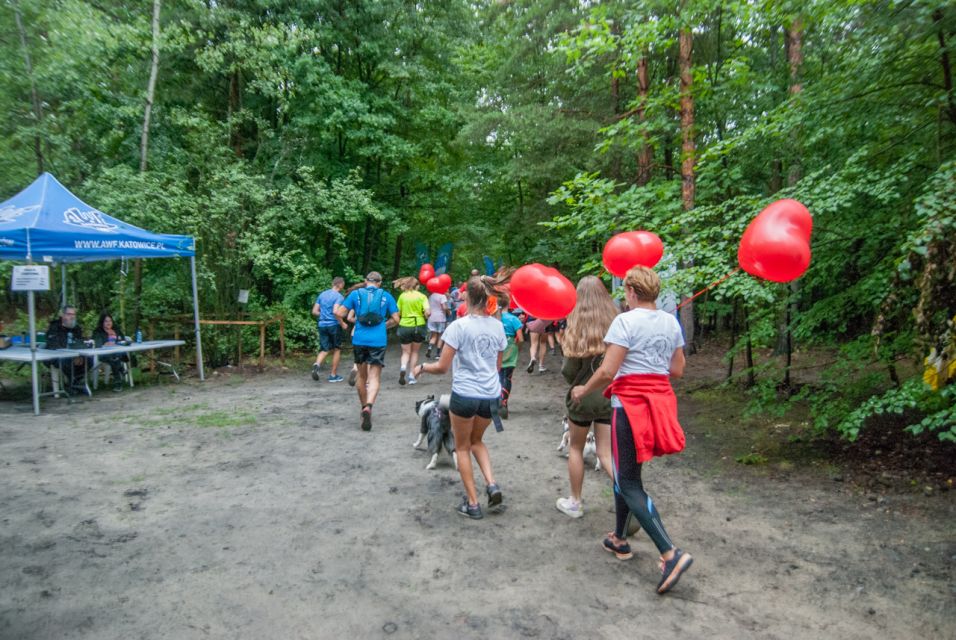 Panewnicki Bieg Dzika -  sierpień 2025 [FOTORELACJA] - galeria