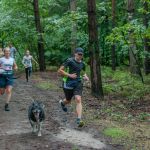 Panewnicki Bieg Dzika -  sierpień 2025 [FOTORELACJA] - galeria