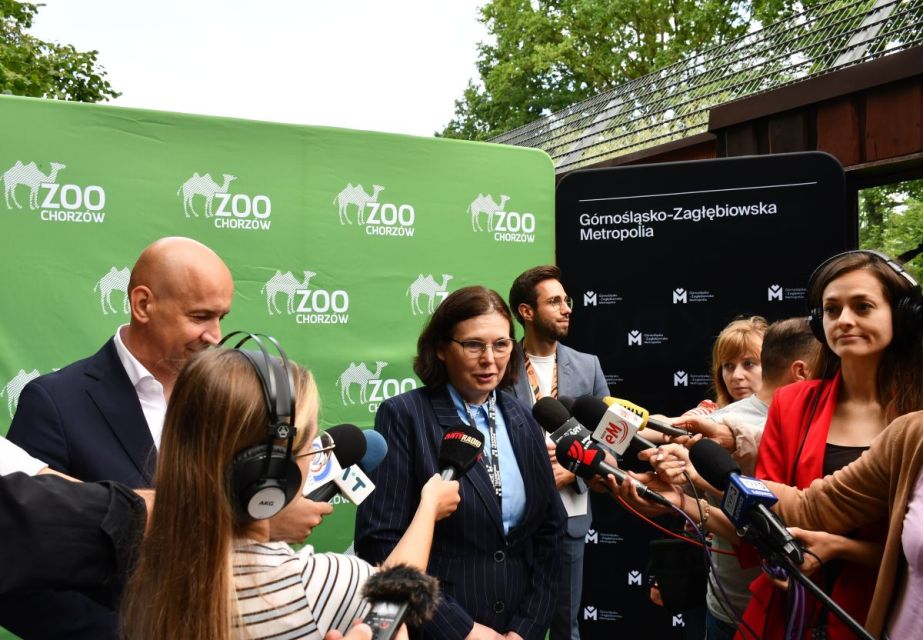 Śląskie ZOO ma nowego mieszkańca! To 13-letni tygrys amurski o imieniu Tiber! - galeria