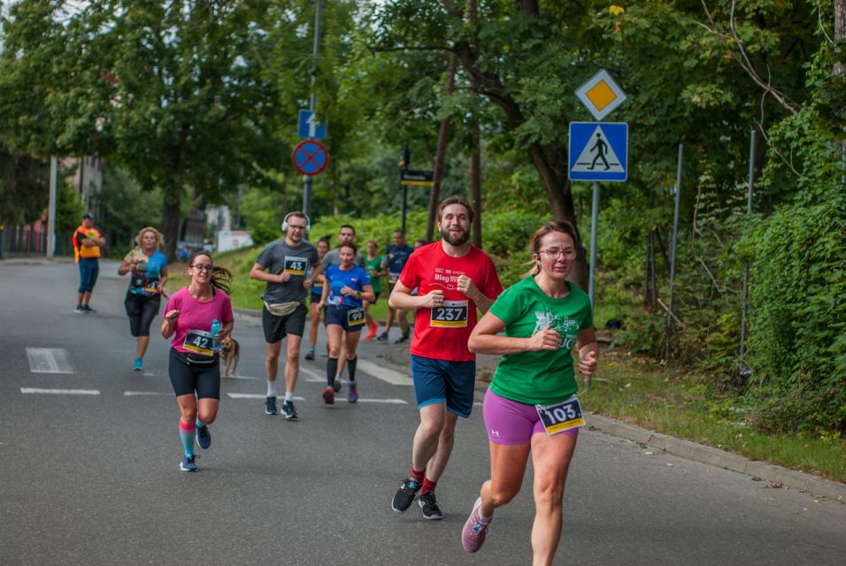 VI Bieg Dookoła Bogucic za nami! [FOTORELACJA] - galeria