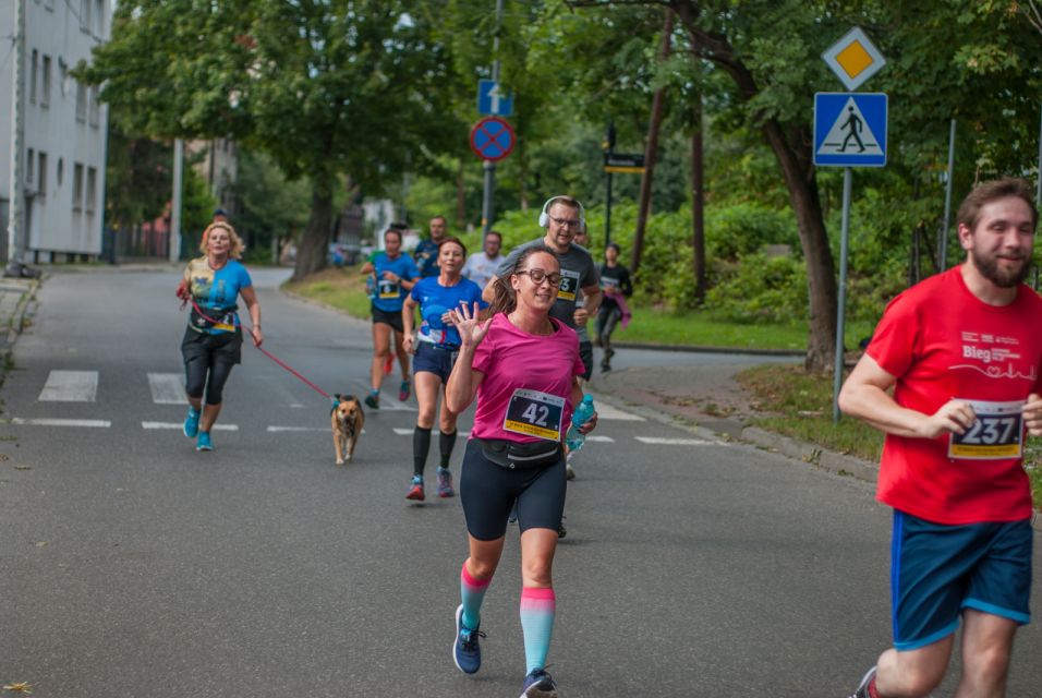 VI Bieg Dookoła Bogucic za nami! [FOTORELACJA] - galeria