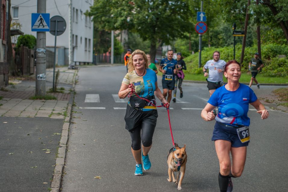 VI Bieg Dookoła Bogucic za nami! [FOTORELACJA] - galeria