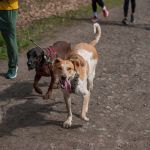 W Zabrzu odbył się III Charytatywny Bieg dla Autyzmu [FOTORELACJA] - galeria