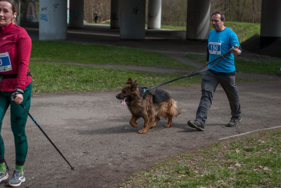 W Zabrzu odbył się III Charytatywny Bieg dla Autyzmu [FOTORELACJA] - galeria