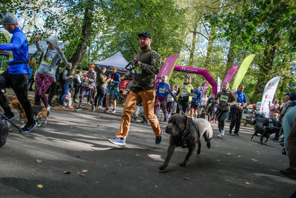 Trwa 8. Katowicki Dzień Psiaka [FOTORELACJA] - galeria