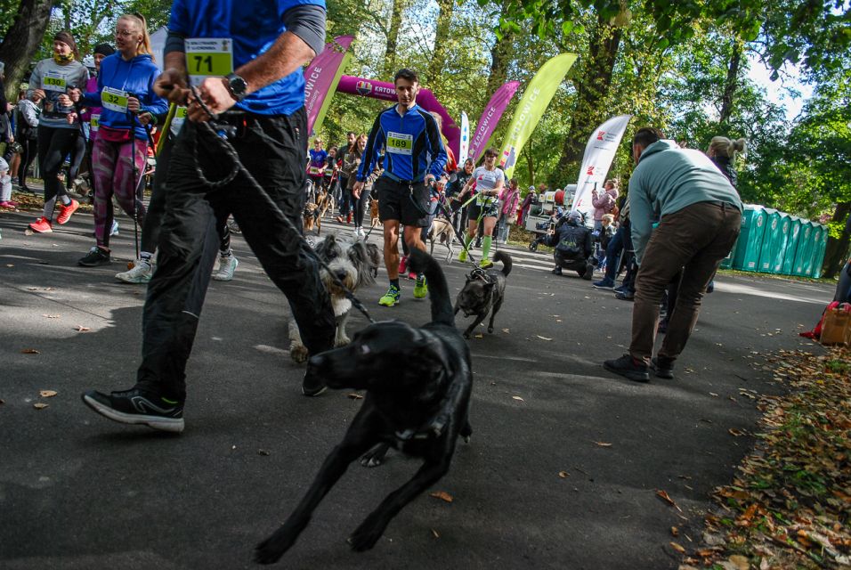 Trwa 8. Katowicki Dzień Psiaka [FOTORELACJA] - galeria