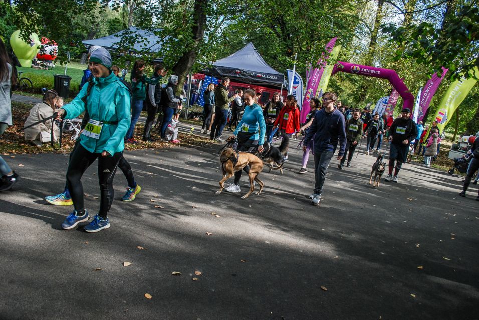 Trwa 8. Katowicki Dzień Psiaka [FOTORELACJA] - galeria