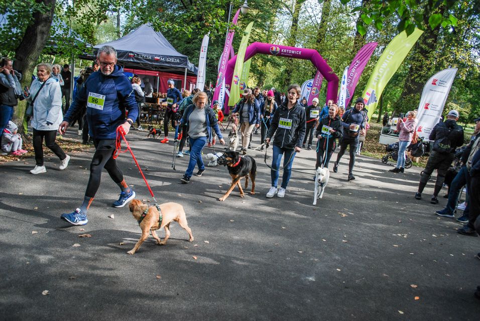 Trwa 8. Katowicki Dzień Psiaka [FOTORELACJA] - galeria