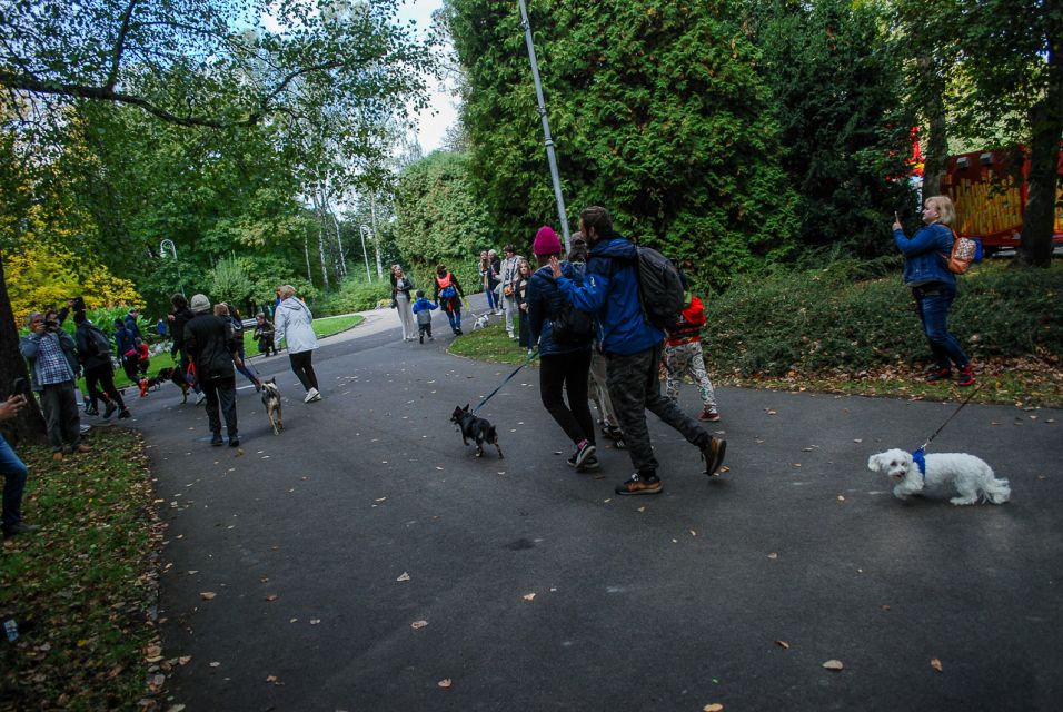 Trwa 8. Katowicki Dzień Psiaka [FOTORELACJA] - galeria