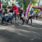 Trwa 8. Katowicki Dzień Psiaka [FOTORELACJA] - galeria