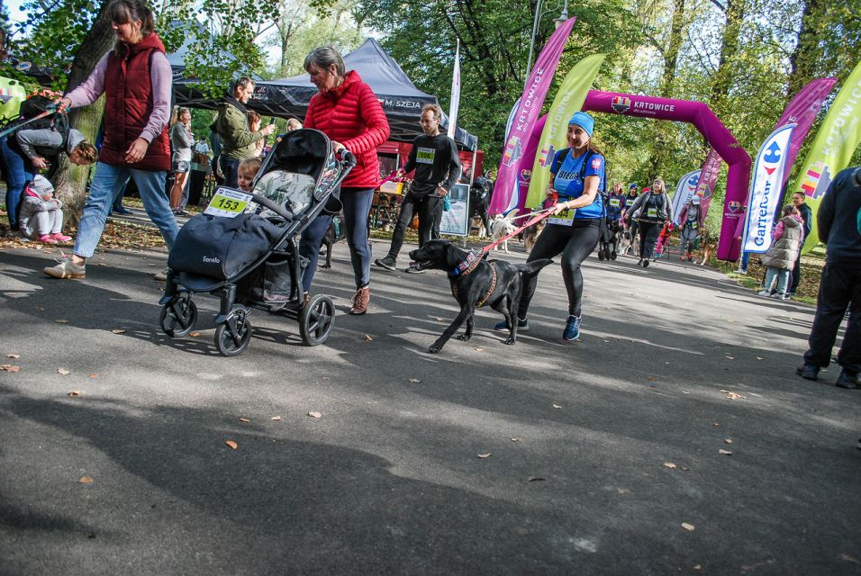 Trwa 8. Katowicki Dzień Psiaka [FOTORELACJA] - galeria