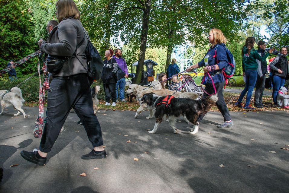 Trwa 8. Katowicki Dzień Psiaka [FOTORELACJA] - galeria