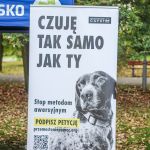 Trwa 8. Katowicki Dzień Psiaka [FOTORELACJA] - galeria