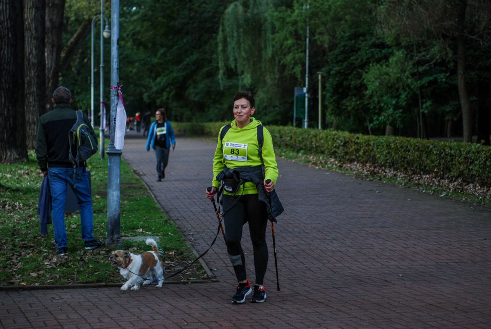 Trwa 8. Katowicki Dzień Psiaka [FOTORELACJA] - galeria