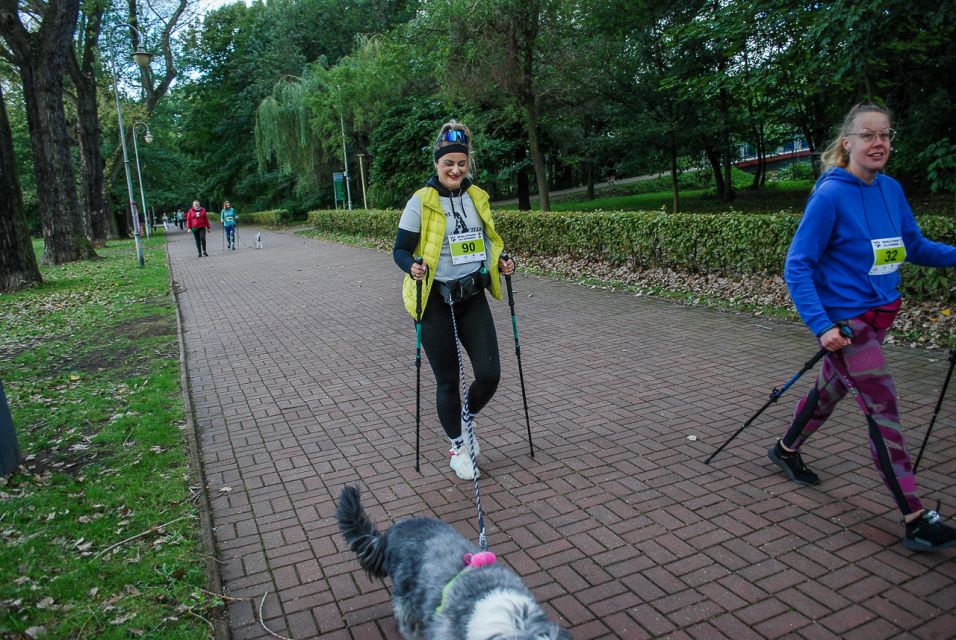 Trwa 8. Katowicki Dzień Psiaka [FOTORELACJA] - galeria