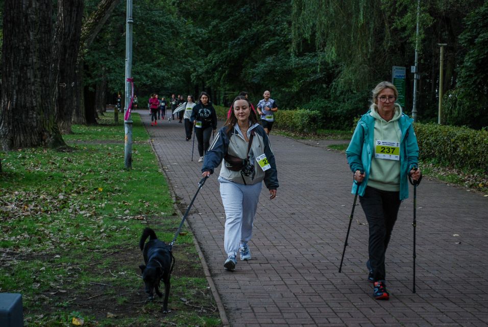 Trwa 8. Katowicki Dzień Psiaka [FOTORELACJA] - galeria