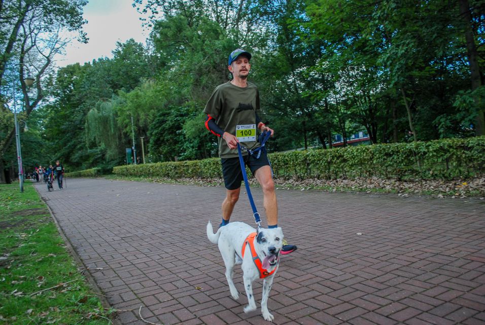 Trwa 8. Katowicki Dzień Psiaka [FOTORELACJA] - galeria