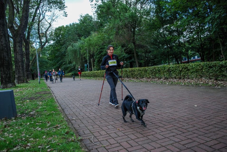 Trwa 8. Katowicki Dzień Psiaka [FOTORELACJA] - galeria