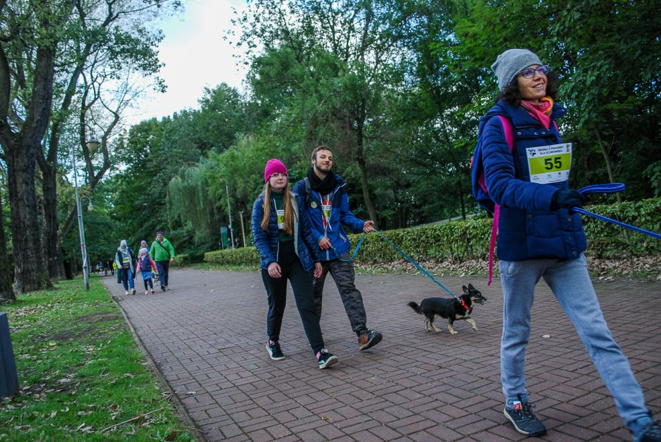 Trwa 8. Katowicki Dzień Psiaka [FOTORELACJA] - galeria