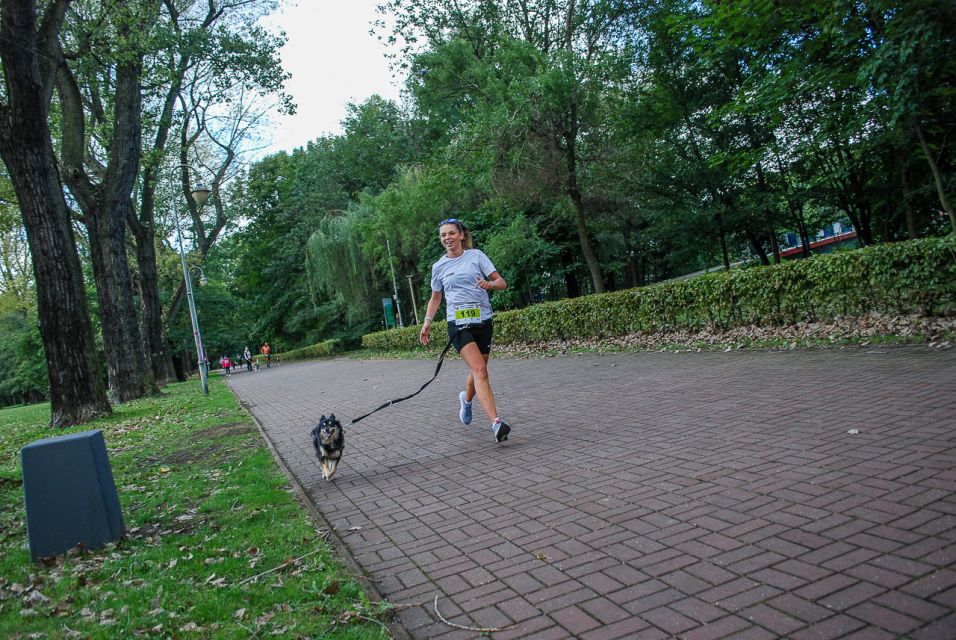 Trwa 8. Katowicki Dzień Psiaka [FOTORELACJA] - galeria