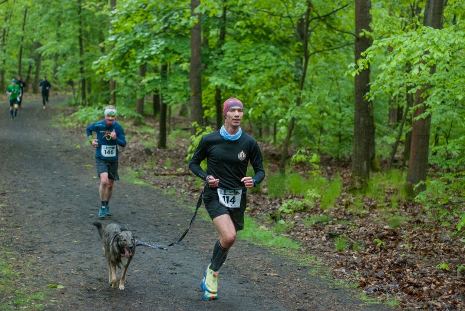 Za nami Panewnicki Bieg Dzika - edycja maj 2025 [FOTORELACJA] - galeria