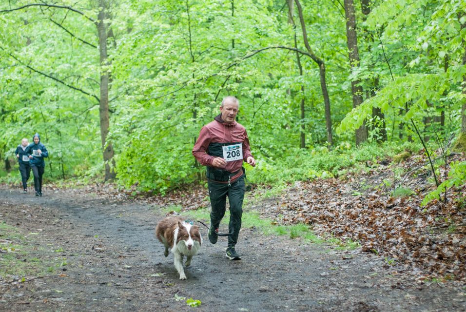 Za nami Panewnicki Bieg Dzika - edycja maj 2025 [FOTORELACJA] - galeria
