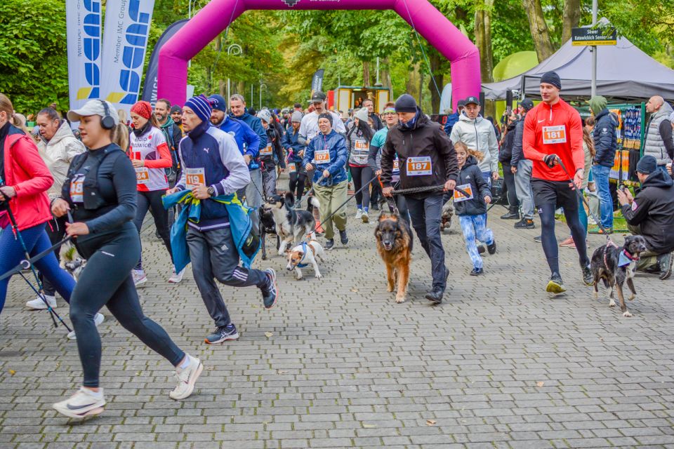 Za nami 9. Katowicki Dzień Psiaka [FOTORELACJA] - galeria