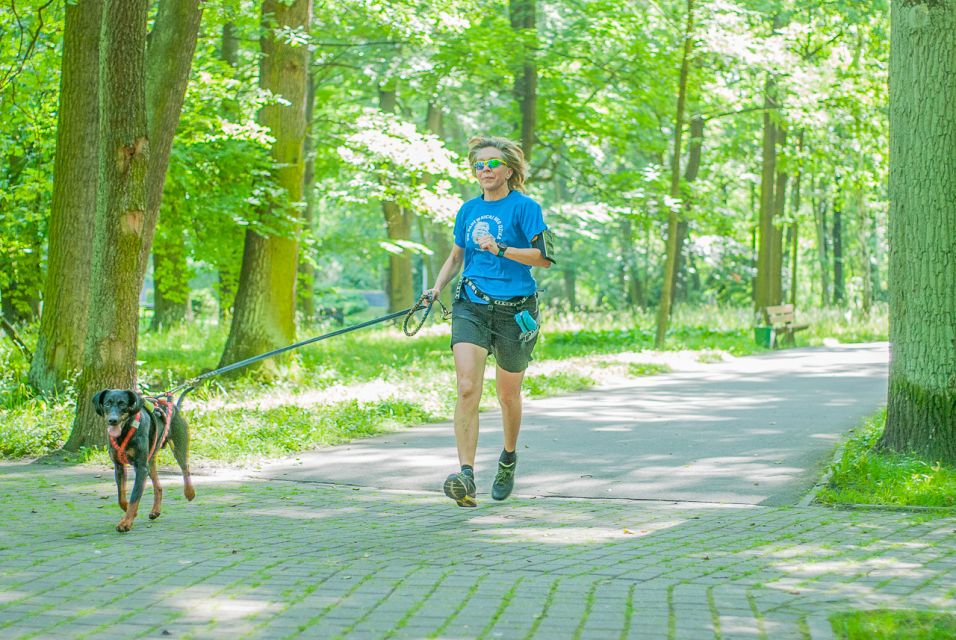Kolejny Park Run Katowice za nami. Uczcili nadchodzący Dzień Ojca [FOTORELACJA] - galeria