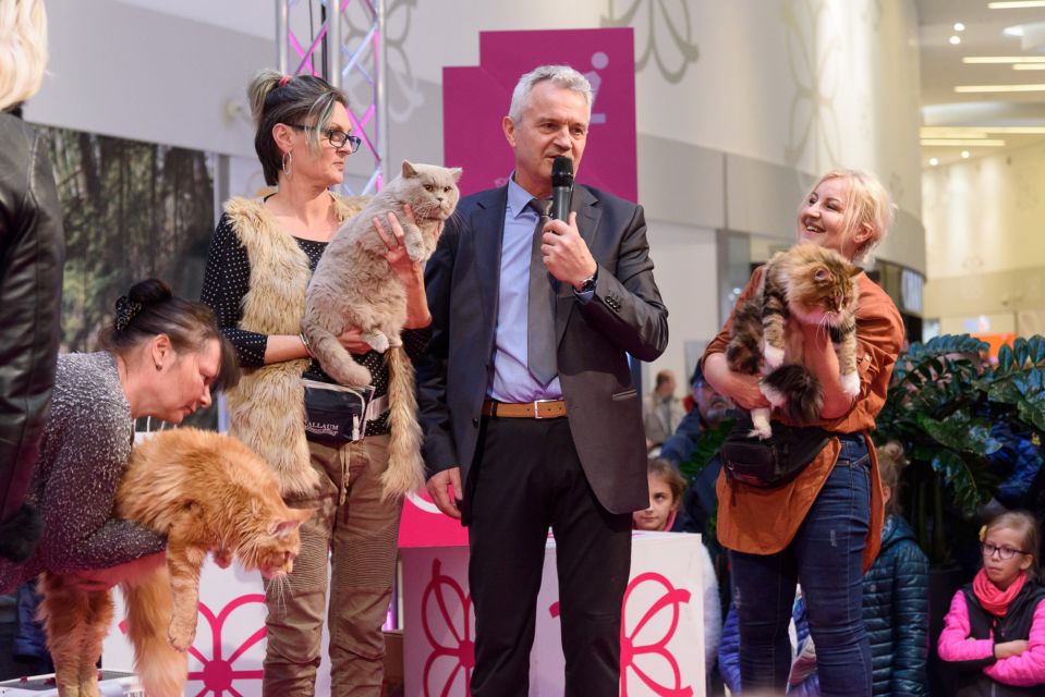Pokaz Kotów Rasowych powraca do Europy Centralnej - galeria