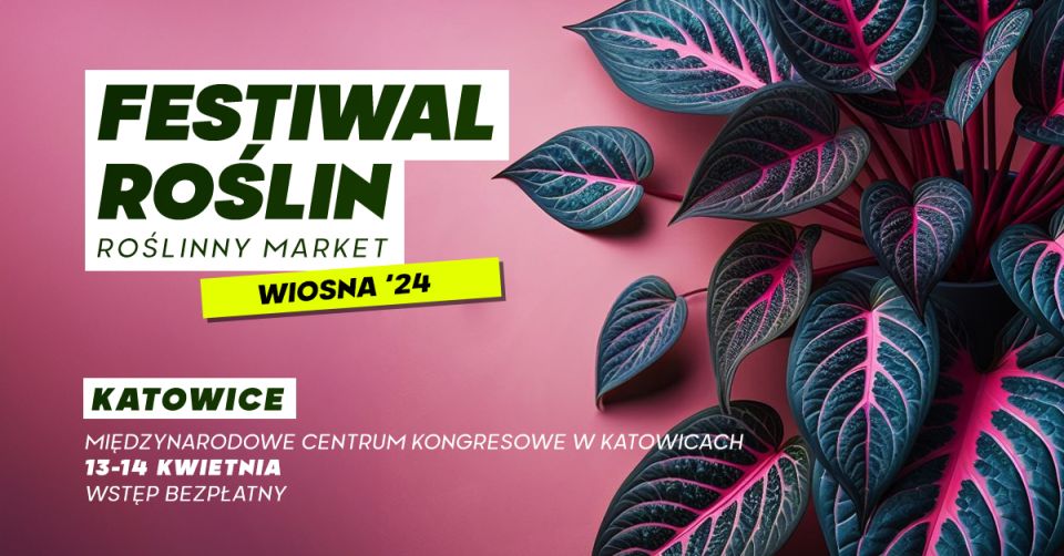 Festiwal Roślin - galeria