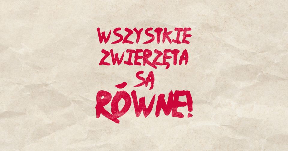 Folwark zwierzęcy reż. Jan Klata - galeria