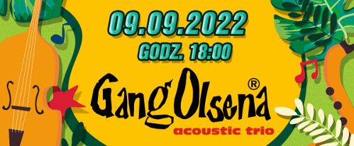 Gang Olsena acoustic trio - koncert - galeria