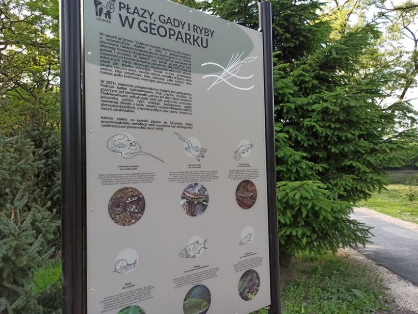 Zabrzański Geopark to kolejne miejsce na mapie śląskiej geoturystyki! - galeria