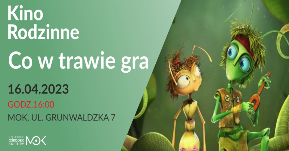 Kino rodzinne "Co w trawie gra" - galeria
