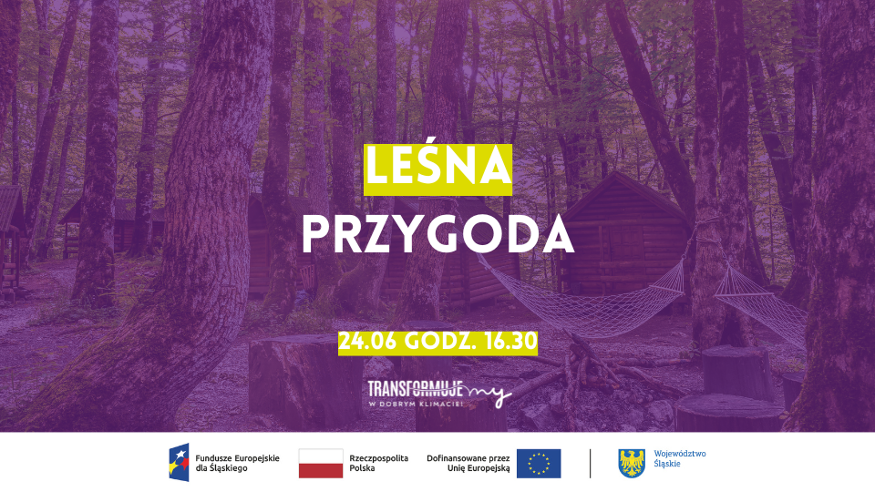 Leśna Przygoda - galeria