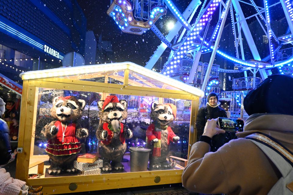 Magia świąt, czyli Jarmark Bożonarodzeniowy w Katowicach - galeria